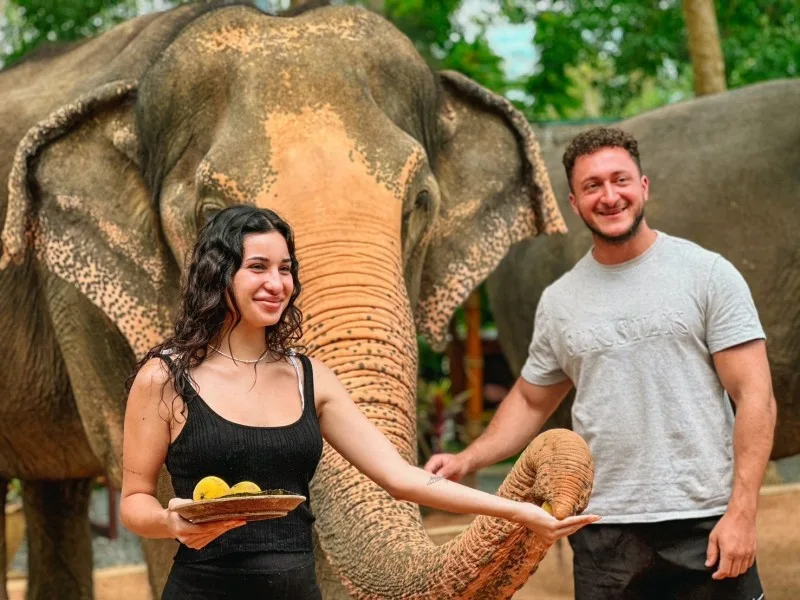 Samui Elephant Home - couple nourrissage fruit