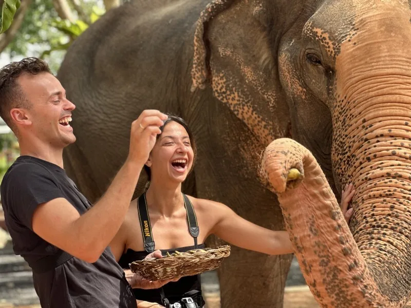 Samui Elephant Home - nourrissage en riant