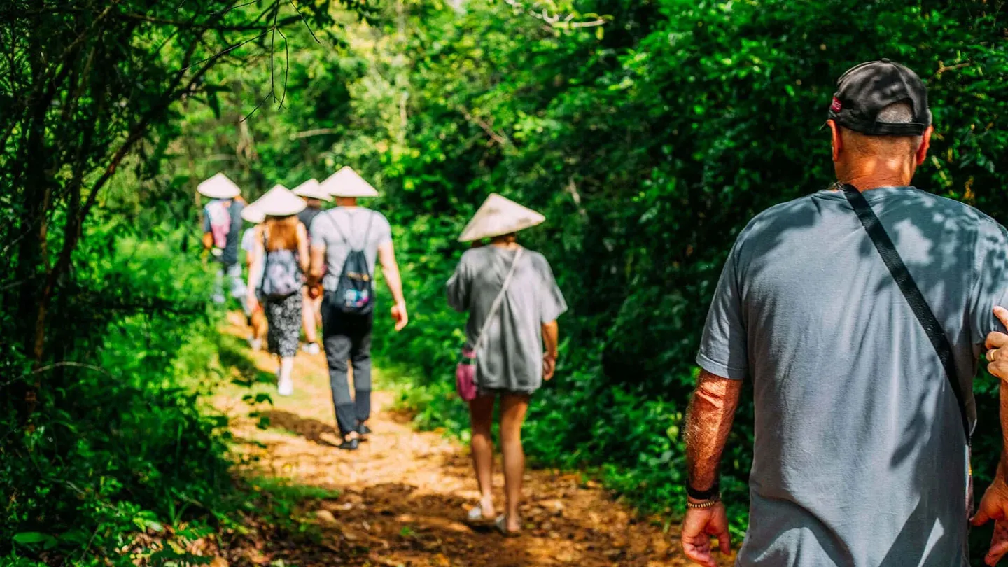 Trek jungle visiteurs chapeaux coniques Samui Elephant Haven