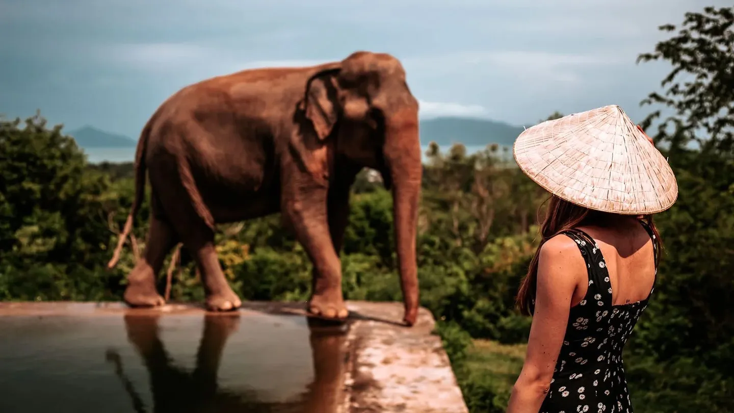 Samui Elephant Haven - sanctuaire ethique elephants Koh Samui