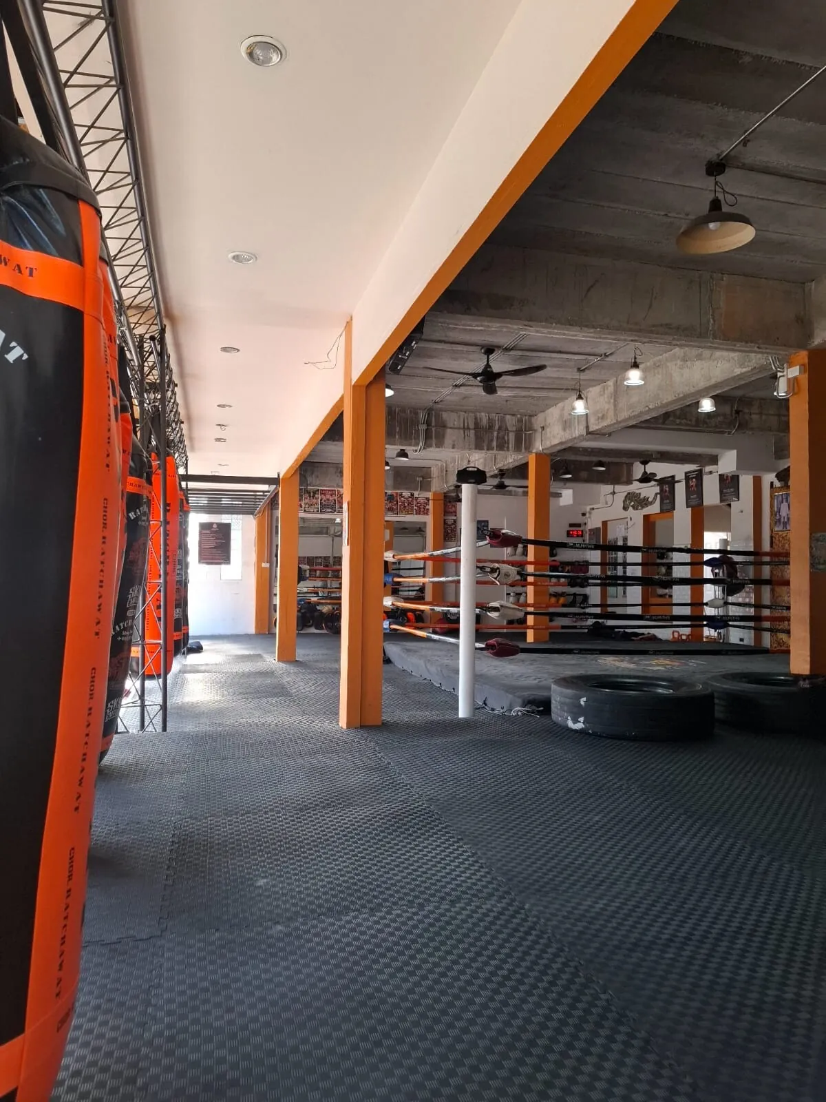 Muay Thai Bophut camp interior — ring, heavy bags and training floor