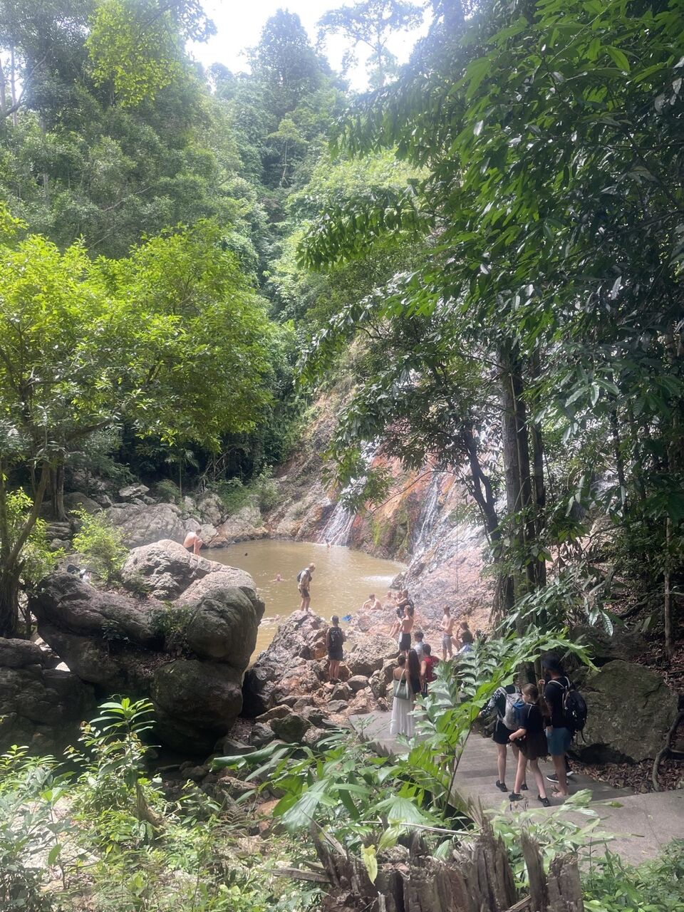 Safari tour through Koh Samui jungle